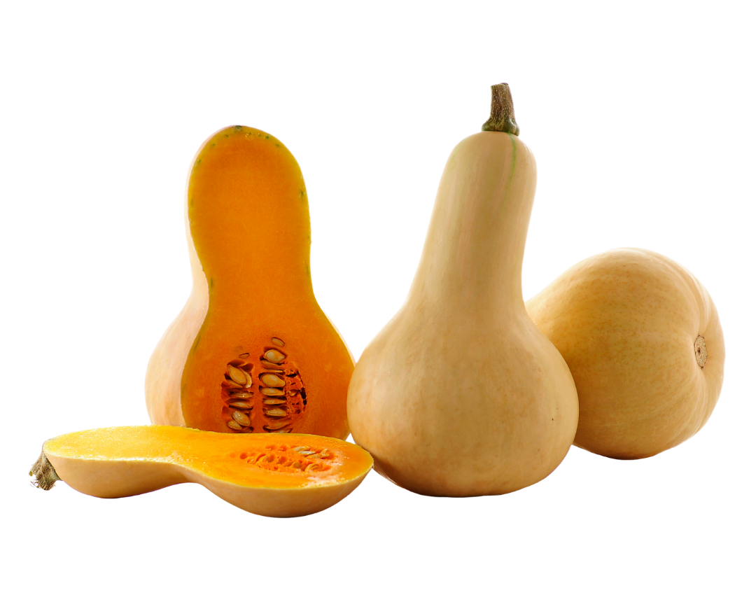 Nov. 2025 eUpdate Graphics (850 x 1080 px) (9)